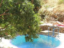 Gunes Holiday