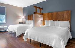 Extended Stay America Premier Suites Tampa Fairgro