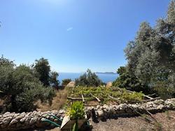 Faralya Seaside