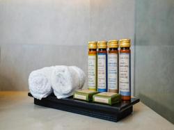 Petit Palace Suites Hotel