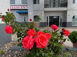 Texas Inn