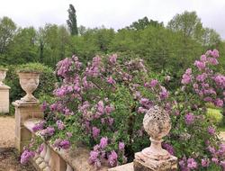 Château De Moison