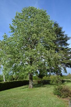 Le Nid De L Ecureuil