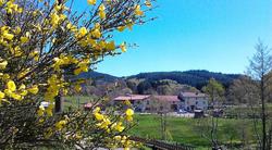 Le Moulin De La Fortie