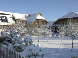 The Cosy Home
