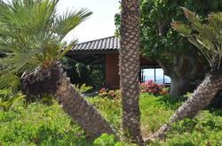 Villa Hippocampe