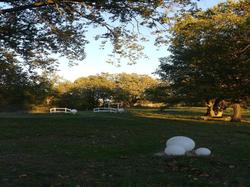 Le Domaine Des Sources