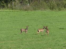 Le Domaine Des Sources