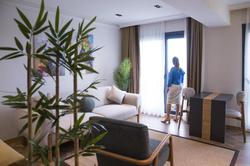 Shiboo Suite