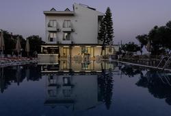 Side Azalia Garden