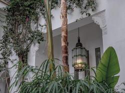 Riad Jaaneman