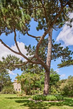 Les Maisons De Tatihou, The Originals Relais