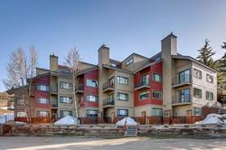 Crested Butte Mountain Resort Properties