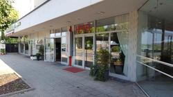 Hotel Brückentor