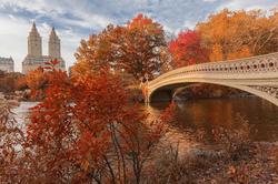 The Ritz-Carlton New York, Central Park