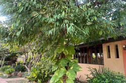 The Royal Shilton Resort by ZUZU