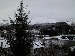 Majestic Lourdes