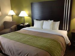 Comfort Inn East Suburbs