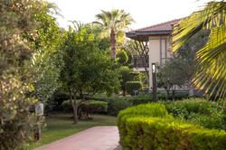 Club Hotel Felicia Village