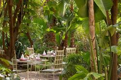 Les Jardins de la Medina