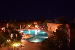 Palm's Club