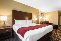 Comfort Suites Tampa Airport North