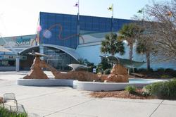 Hampton Inn Myrtle Beach-West