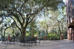 Hilton Garden Inn Tampa East/Brandon