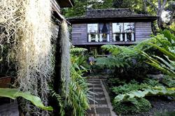 Fern Paradise Chiang Mai