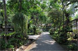 Fern Paradise Chiang Mai