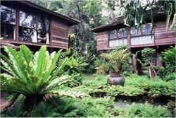 Fern Paradise Chiang Mai