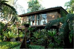 Fern Paradise Chiang Mai