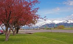 Holiday Inn Bozeman