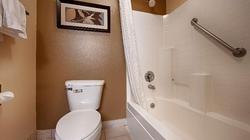 Best Western Plus Mountain View Auburn Inn