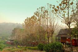 Baan Klang Doi