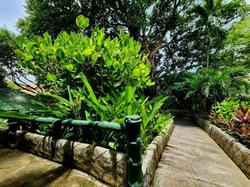 Kata Garden Resort