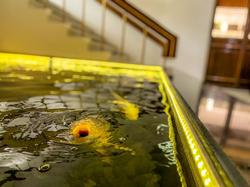 Sino House Phuket Hotel