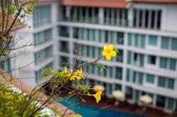 Aiyara Grand Hotel Pattaya