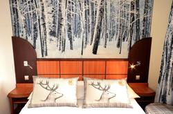 Green Hotels Confort Paris 13