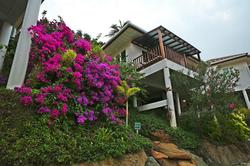 Pinnacle Koh Tao Resort