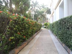 Romeo Palace