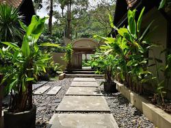 Montra Samui