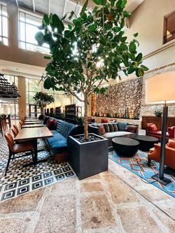 The Hotel Contessa