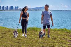 Best Western The Plaza Hotel Honolulu Airport