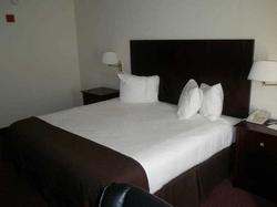 Best Western Executive Inn