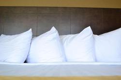 Best Western University Inn