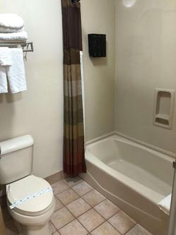 Best Western Dallas Inn & Suites