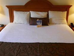 Best Western Windsor Inn & Suites