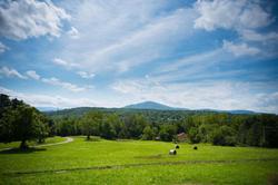 Best Western Bennington