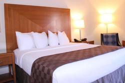 Best Western Rivertree Inn